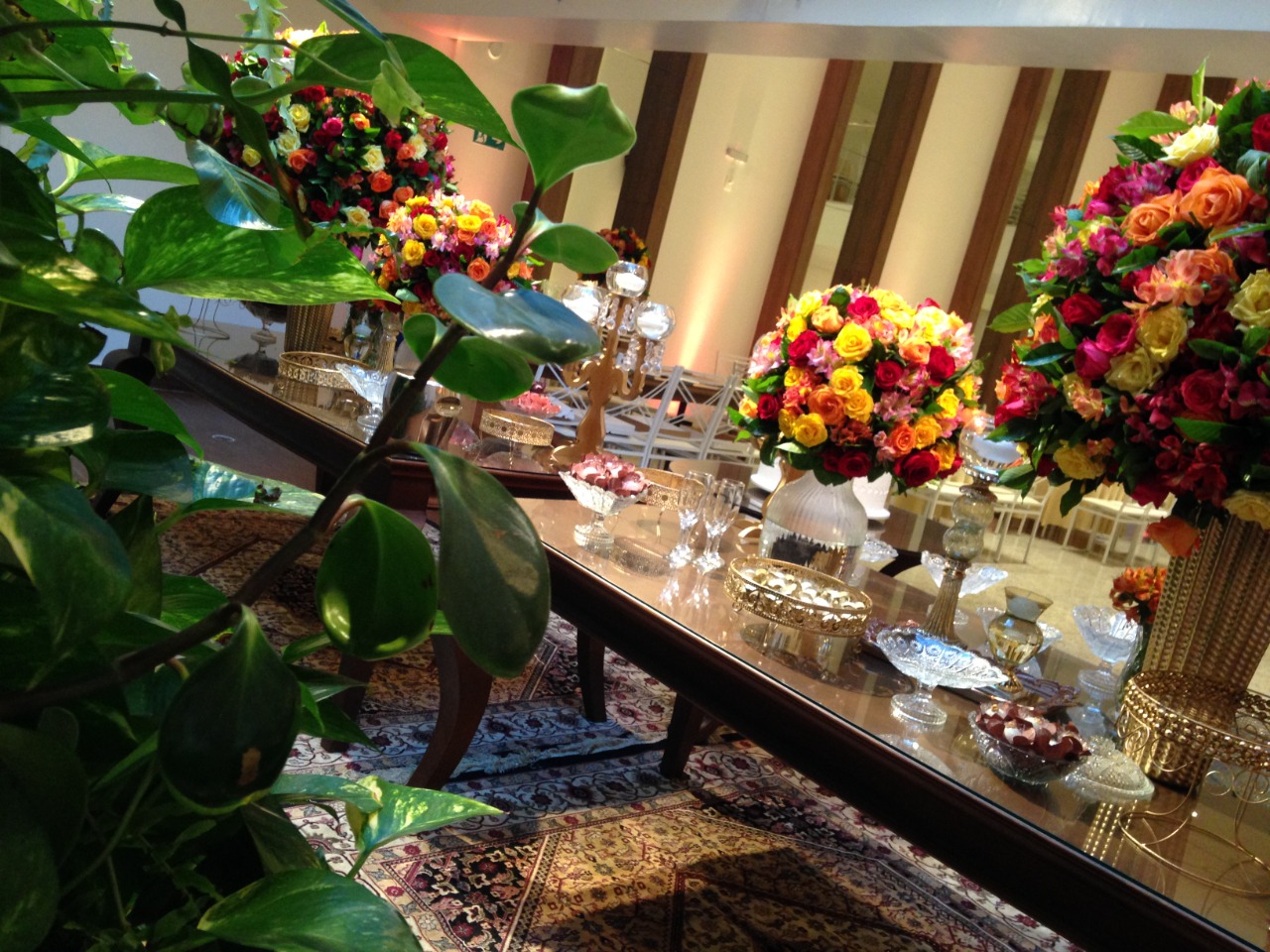 WhatsApp Image 2021-07-20 at 11.37.50.jpeg