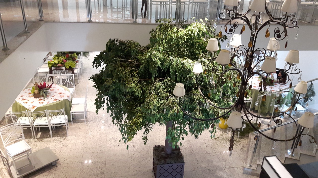 WhatsApp Image 2021-07-20 at 15.10.47 (2).jpeg