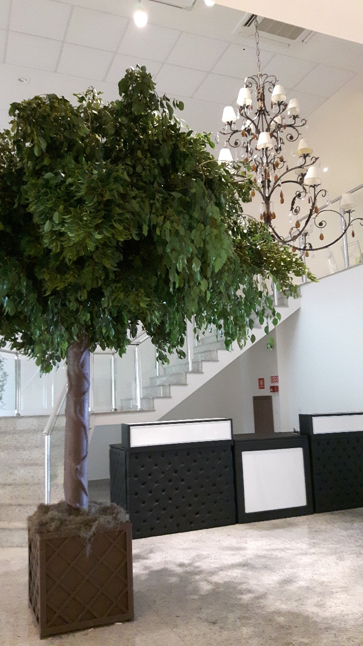 WhatsApp Image 2021-07-20 at 15.10.47 (1).jpeg