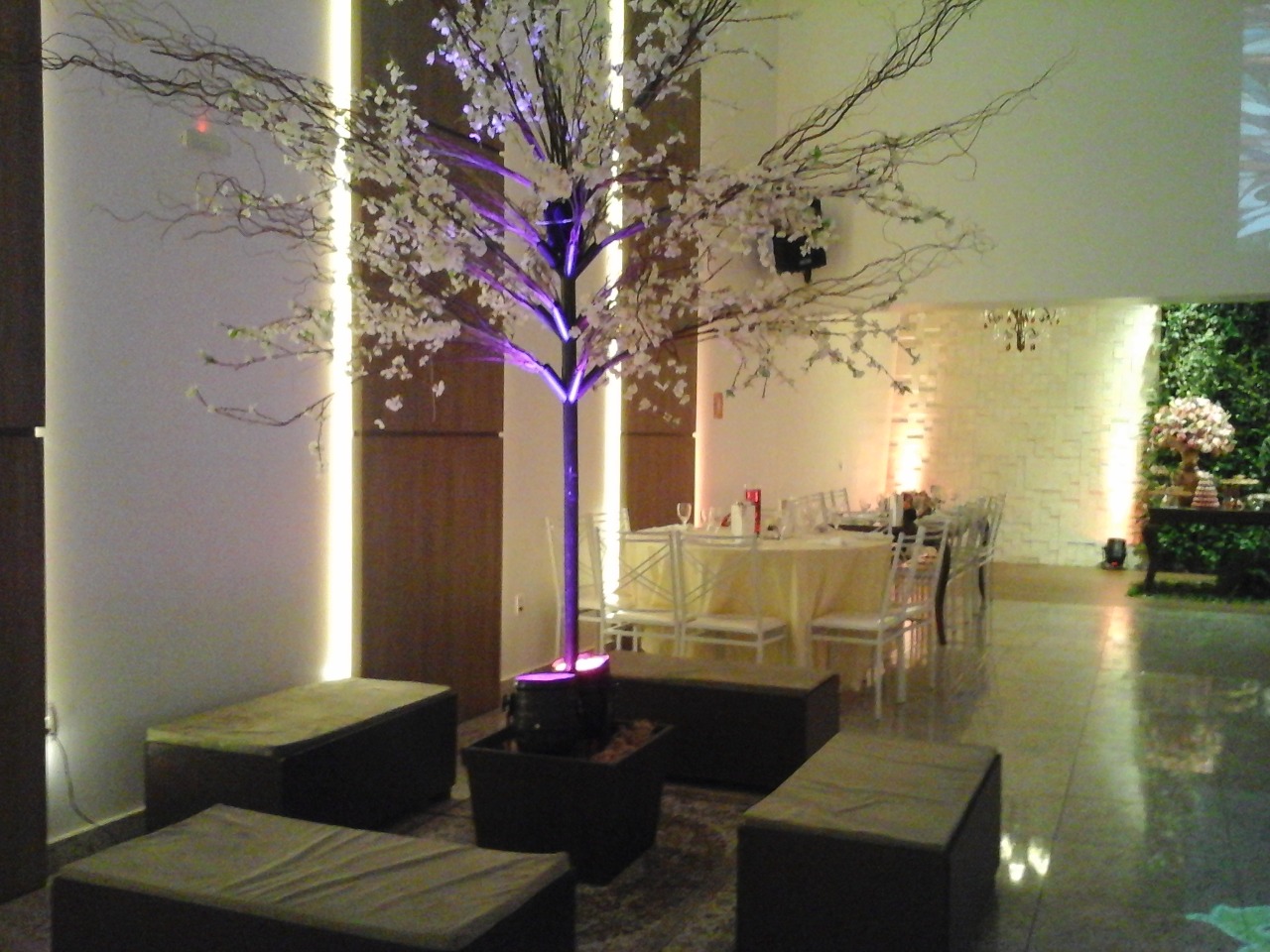 WhatsApp Image 2021-07-20 at 14.55.13 (1).jpeg